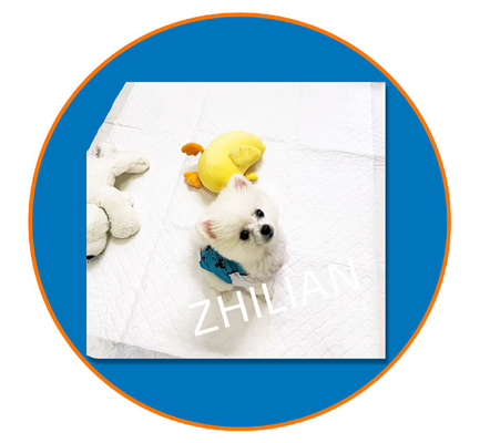 Máquina de almohadillas para mascotas de 350 mm y 1200 mm de longitud, 170 m/min