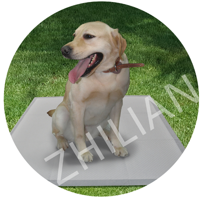 Máquina disponible del cojín del animal doméstico
